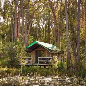 Lagoon Tent